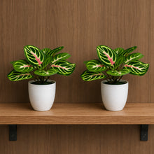 set of 2 real touch leaves in glassi pot