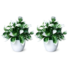 set of 2 cirtus in glassi 5 taar