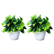 set of 2 cirtus in glassi 5 taar