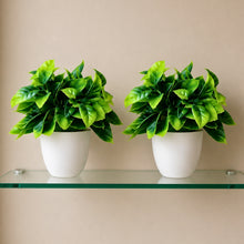 set of 2 cirtus in glassi 5 taar
