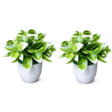 set of 2 cirtus in glassi 5 taar