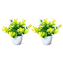set of 2 tulsi in glassi 5 taar