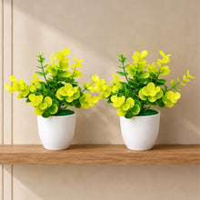 set of 2 tulsi in glassi 5 taar
