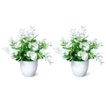 set of 2 tulsi in glassi 5 taar