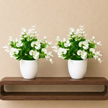 set of 2 tulsi in glassi 5 taar