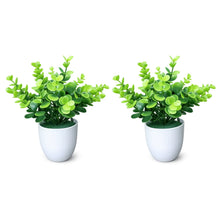 set of 2 tulsi in glassi 5 taar