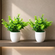 set of 2 tulsi in glassi 5 taar