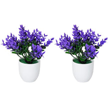 set of 2 hackleberry 7 point in glassi