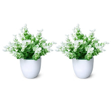 set of 2 hackleberry 7 point in glassi