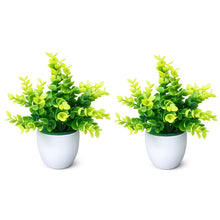 set of 2 hackleberry 7 point in glassi