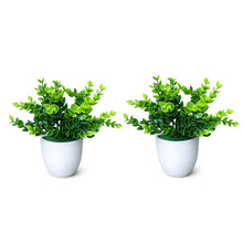 set of 2 hackleberry 7 point in glassi