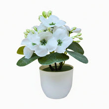 Single piece small glassi pot 15 wisteria cutting flowers