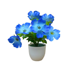 single pc small glassi pot 10 blossom cutting flowers