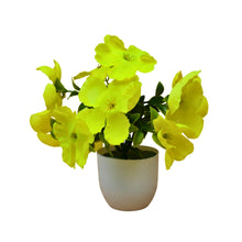 single pc small glassi pot 10 blossom cutting flowers