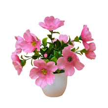 single pc small glassi pot 10 blossom cutting flowers