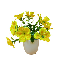 single pc big  glassi pot 10 printed blossom cutting flowers