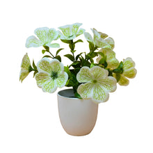 single pc big  glassi pot 10 printed blossom cutting flowers