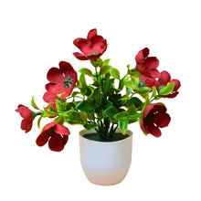 single pc small glassi pot 10 mini blossom cutting flowers