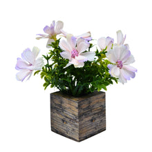 single pc china 3 layer daisy (7 flowers + gardenia filler 11) in 7 pointer (1.6 gms) in printed dabbi