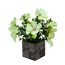 single pc china 3 layer daisy (7 flowers + gardenia filler 11) in 7 pointer (1.6 gms) in printed dabbi
