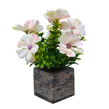 single pc china 3 layer daisy (7 flowers + gardenia filler 11) in 7 pointer (1.6 gms) in printed dabbi