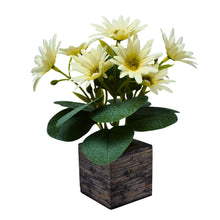 Single pc china icelandic (10 flowers ) in printed wood pot