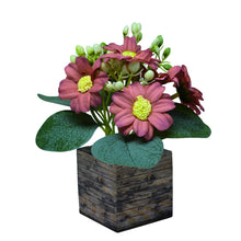 single pc china plain daisy (7 flowers  + 7 beads lup( 8.75gms) + 3 fabric patte in 7 pointer (1.6 gms) in printed dabbi