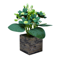 single pc china plain daisy (7 flowers  + 7 beads lup( 8.75gms) + 3 fabric patte in 7 pointer (1.6 gms) in printed dabbi