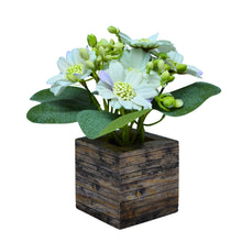 single pc  china 2 tone  daisy (7 flowers  + 7 beads lup( 8.75gms) + 3 fabric patte in 7 pointer (1.6 gms) in printed dabbi