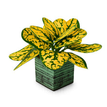 single piece Real touch in 5 taar printed dabbi pot
