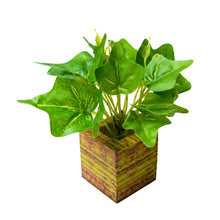 single piece Real touch in 5 taar printed dabbi pot