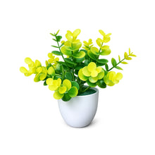 single piece Tulsi in 5 taar small glassi pot