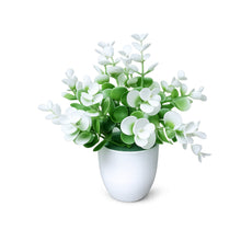single piece Tulsi in 5 taar small glassi pot