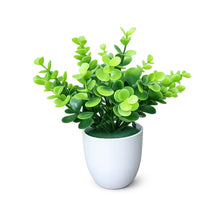 single piece Tulsi in 5 taar small glassi pot