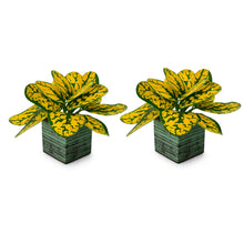 set of 2 Real touch in 5 taar printed dabbi pot
