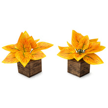 set of 2 Real touch in 5 taar printed dabbi pot