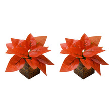 set of 2 Real touch in 5 taar printed dabbi pot