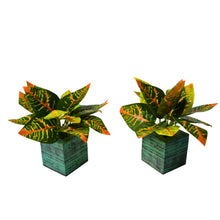 set of 2 Real touch in 5 taar printed dabbi pot