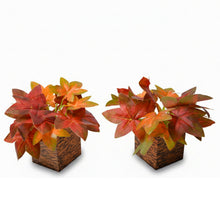 set of 2 Real touch in 5 taar printed dabbi pot
