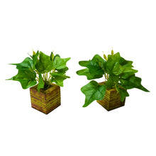 set of 2 Real touch in 5 taar printed dabbi pot