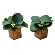 set of 2 Real touch in 5 taar printed dabbi pot