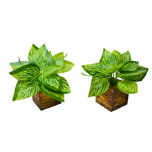 set of 2 Real touch in 5 taar printed dabbi pot