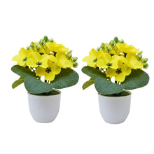 set of 2 pieces small glassi pot 15 wisteria cutting flowers