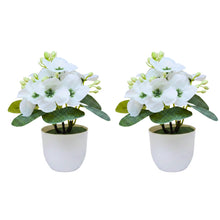 set of 2 pieces small glassi pot 15 wisteria cutting flowers