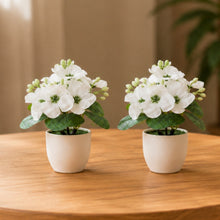 set of 2 pieces small glassi pot 15 wisteria cutting flowers