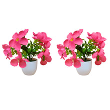 set of 2 small glassi pot 10 blossom cutting flowers