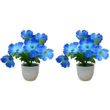 set of 2 small glassi pot 10 blossom cutting flowers
