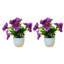 set of 2 small glassi pot 10 blossom cutting flowers