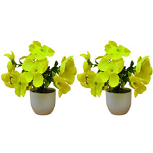 set of 2 small glassi pot 10 blossom cutting flowers
