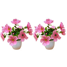 set of 2 small glassi pot 10 blossom cutting flowers